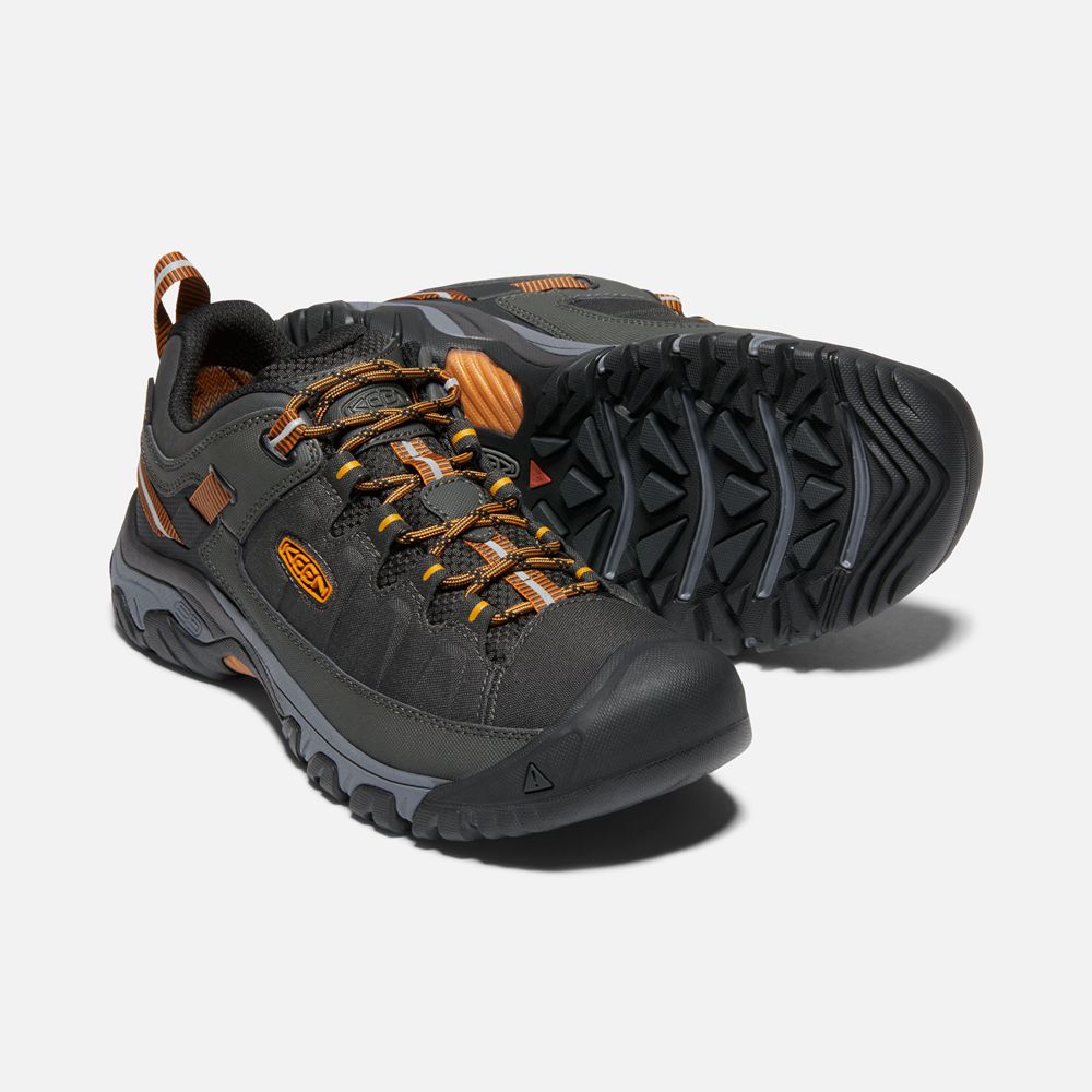 Chaussure de Randonnée Keen Homme Noir/Doré | Targhee Exp Waterproof | GHDOE-9378